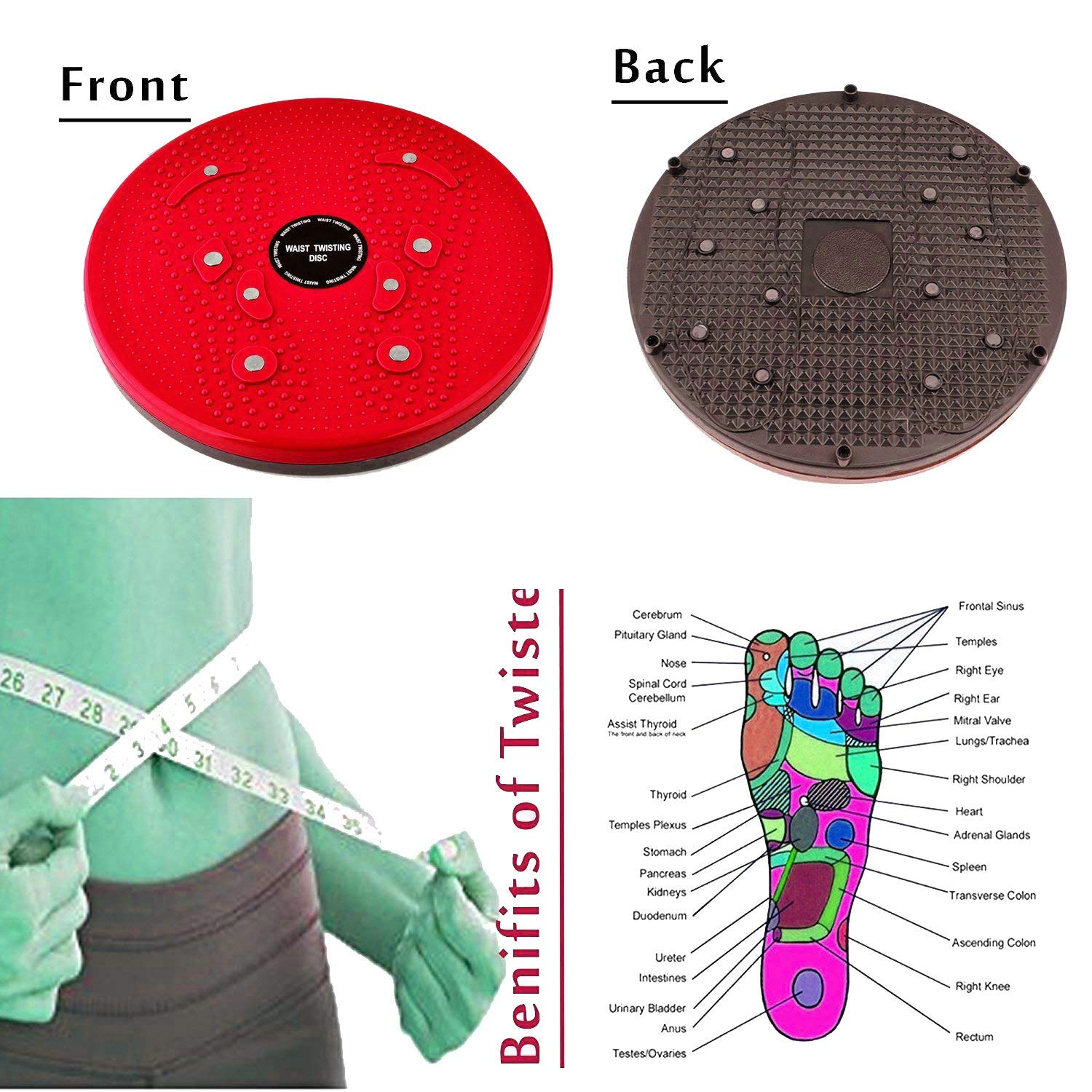 Sweatbelt with Twister Set for Workout